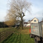 Nottingham Tree Surgeons